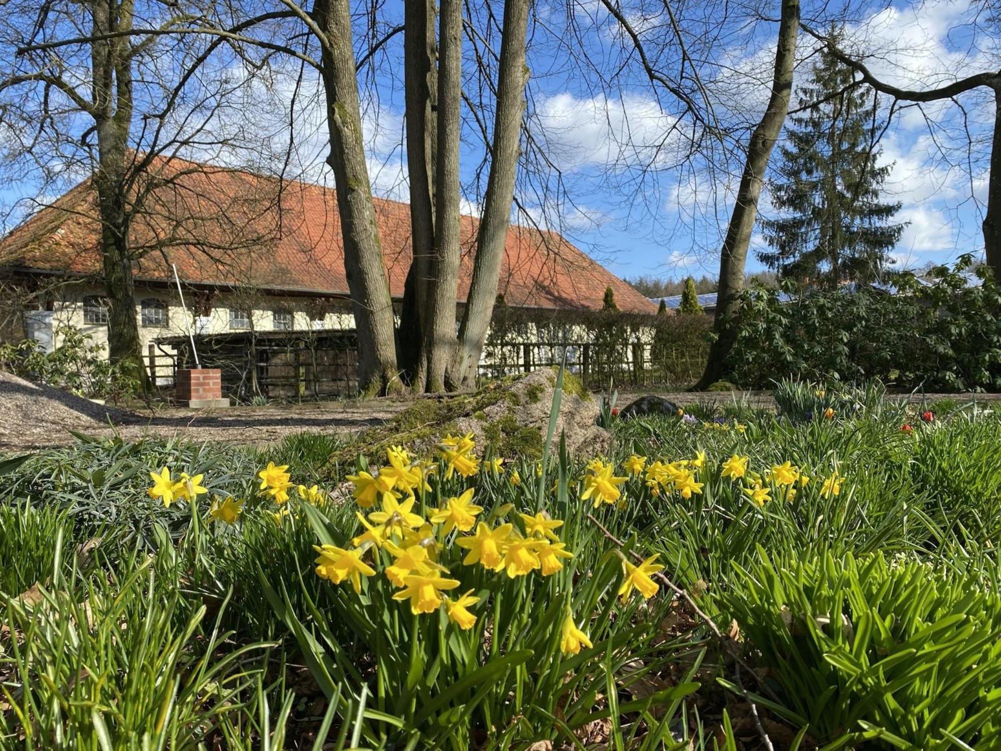 Cozy Holiday Home On A Horse Farm In The L Neburg Heath Eschede Екстериор снимка