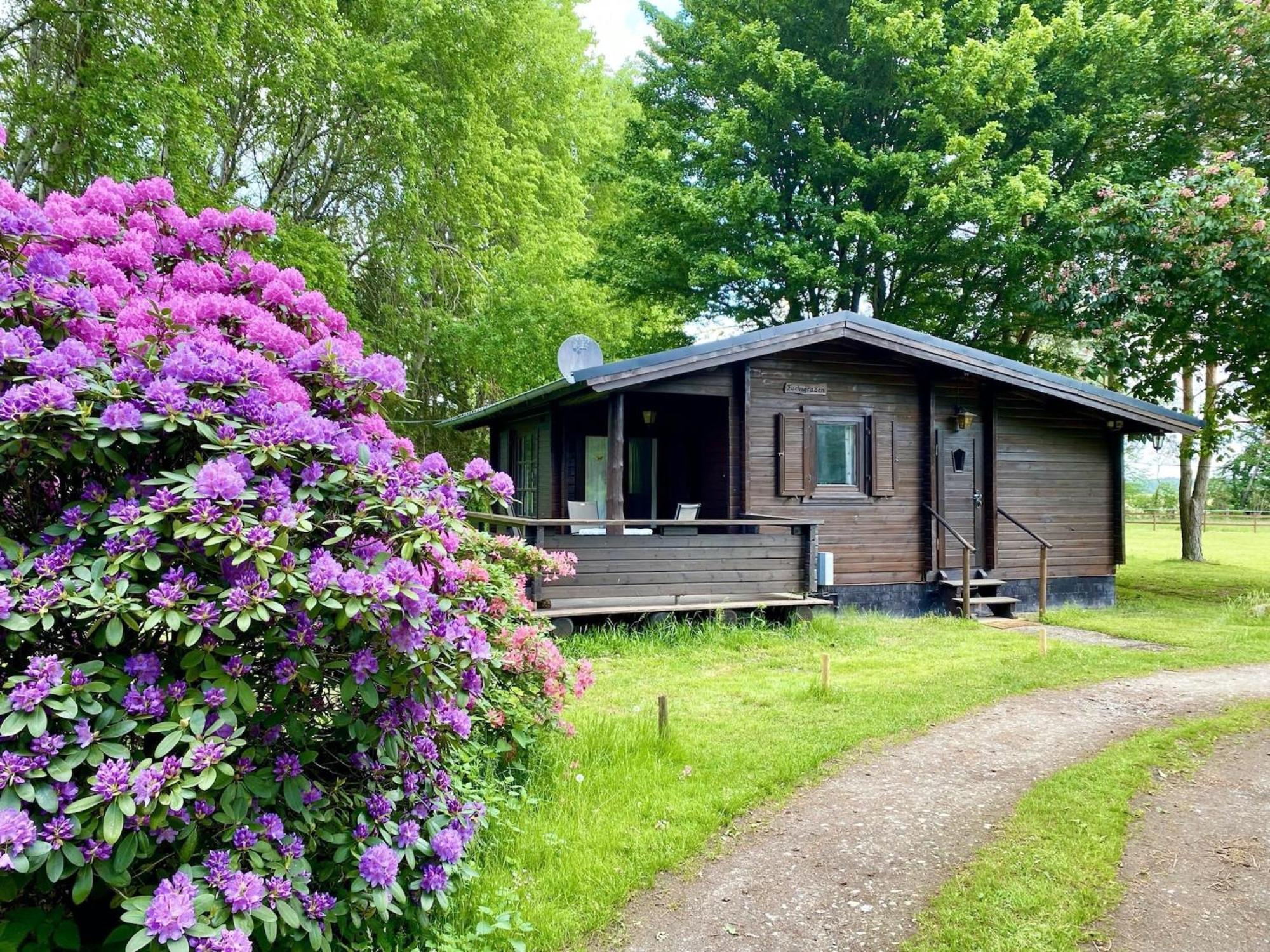 Cozy Holiday Home On A Horse Farm In The L Neburg Heath Eschede Екстериор снимка