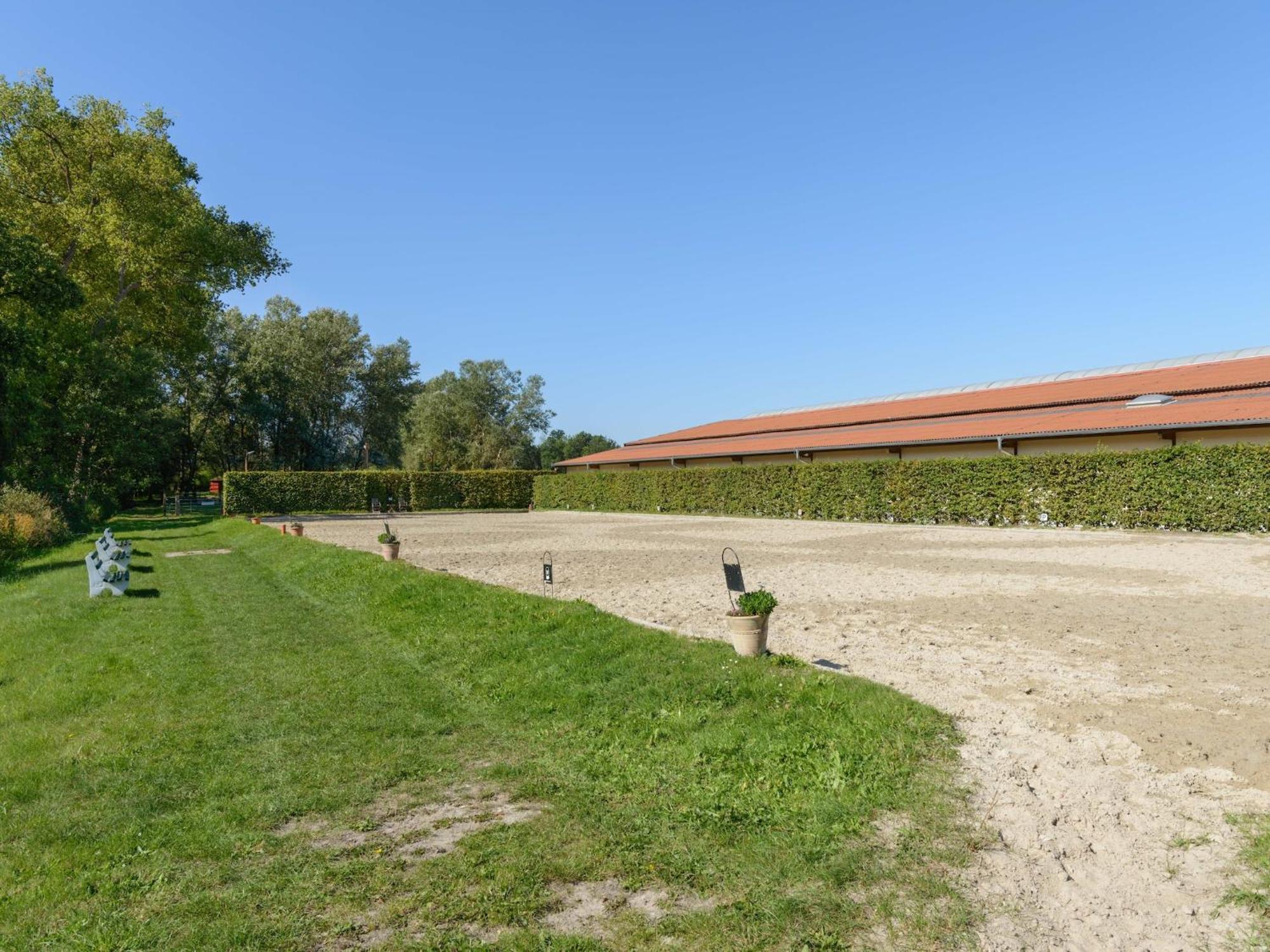 Cozy Holiday Home On A Horse Farm In The L Neburg Heath Eschede Екстериор снимка