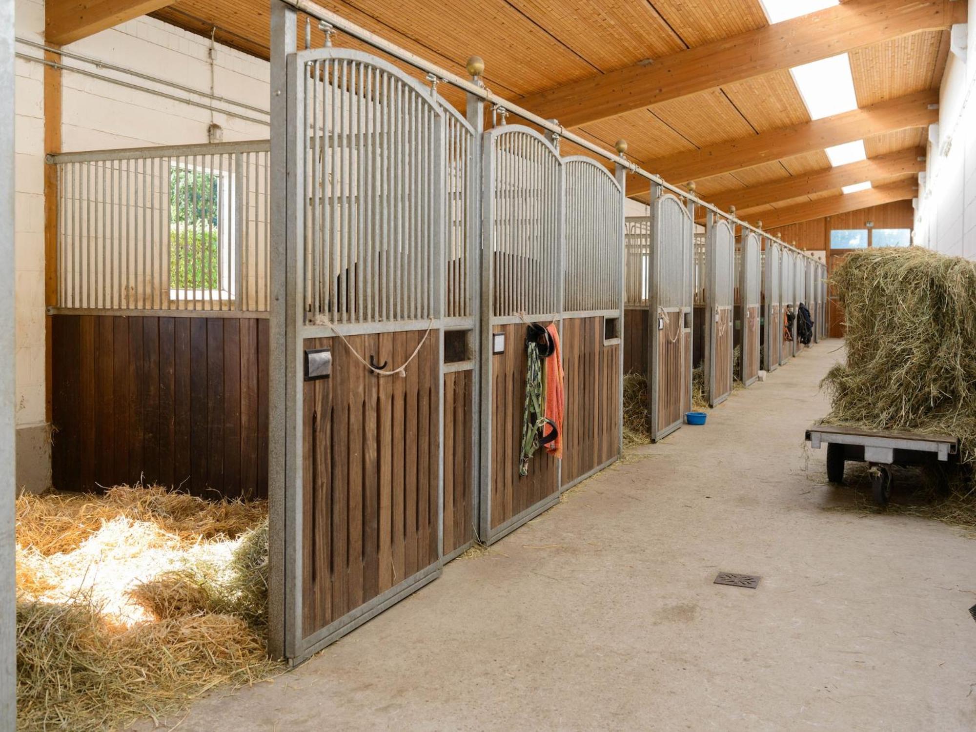 Cozy Holiday Home On A Horse Farm In The L Neburg Heath Eschede Екстериор снимка