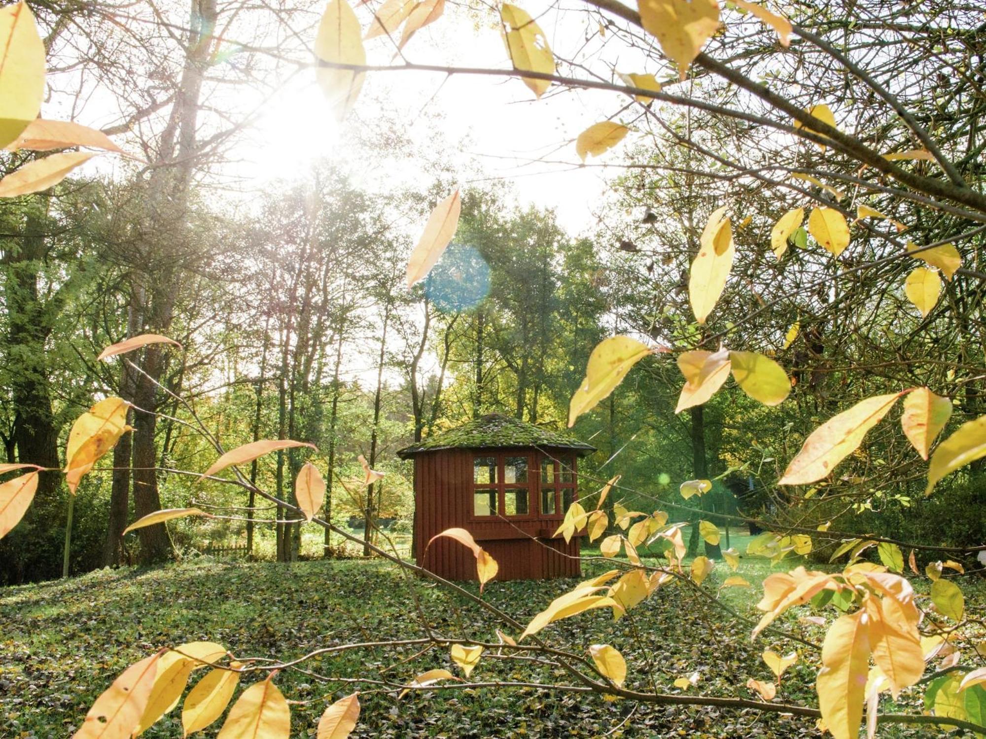 Cozy Holiday Home On A Horse Farm In The L Neburg Heath Eschede Екстериор снимка