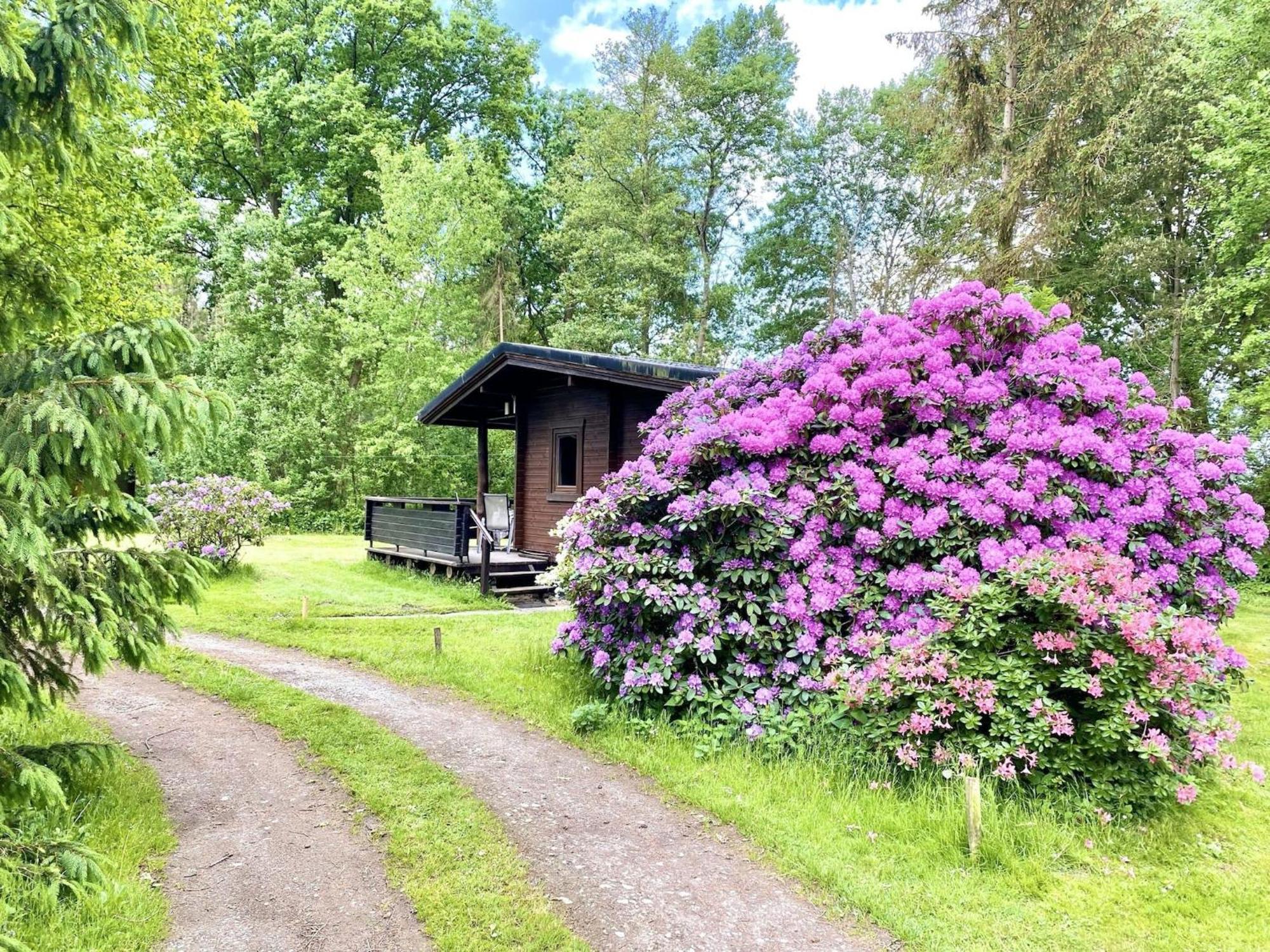 Cozy Holiday Home On A Horse Farm In The L Neburg Heath Eschede Екстериор снимка