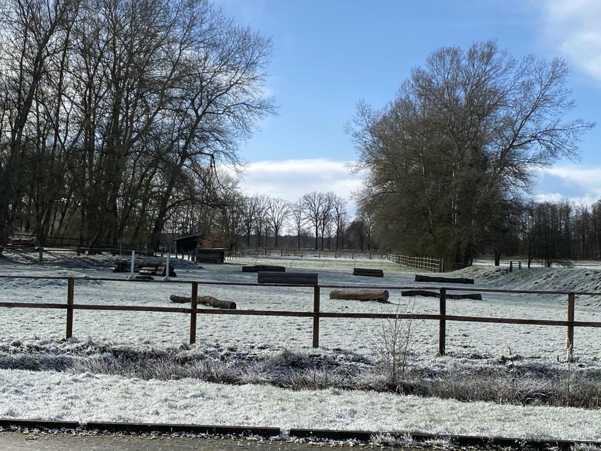 Cozy Holiday Home On A Horse Farm In The L Neburg Heath Eschede Екстериор снимка
